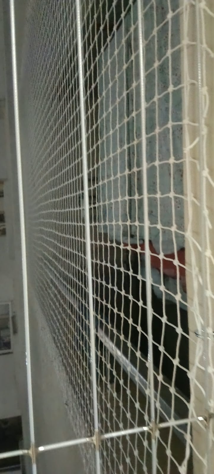 Sports Nets